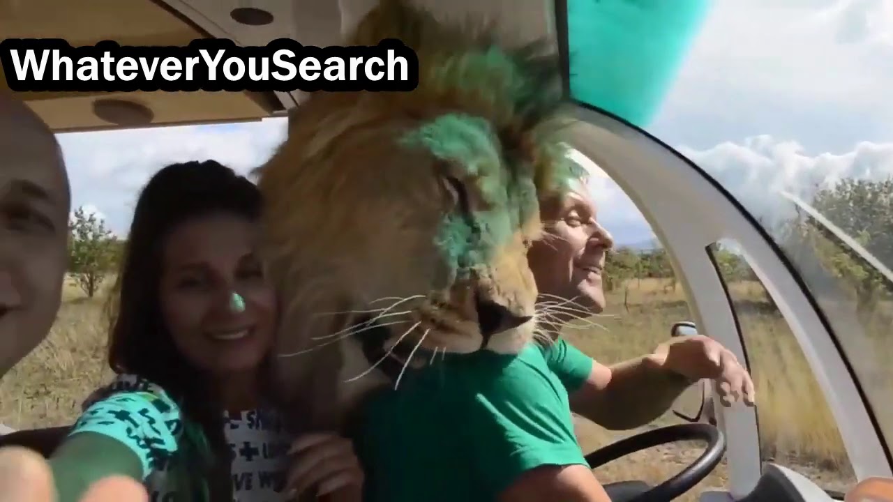 Animals Hugging Humans 🥰