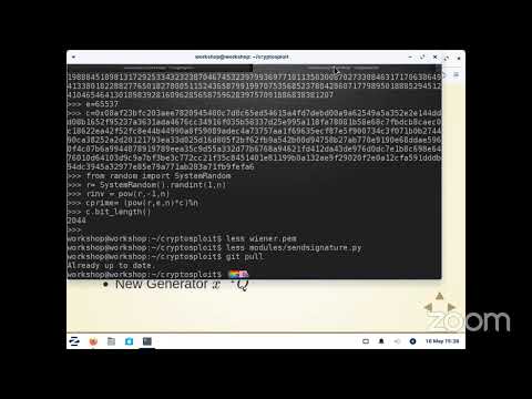 Introduction to Cryptographic Attacks