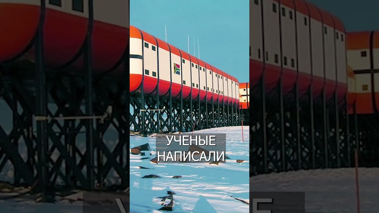 Учёный в Антарктиде устроил хаос и насилие ❄️