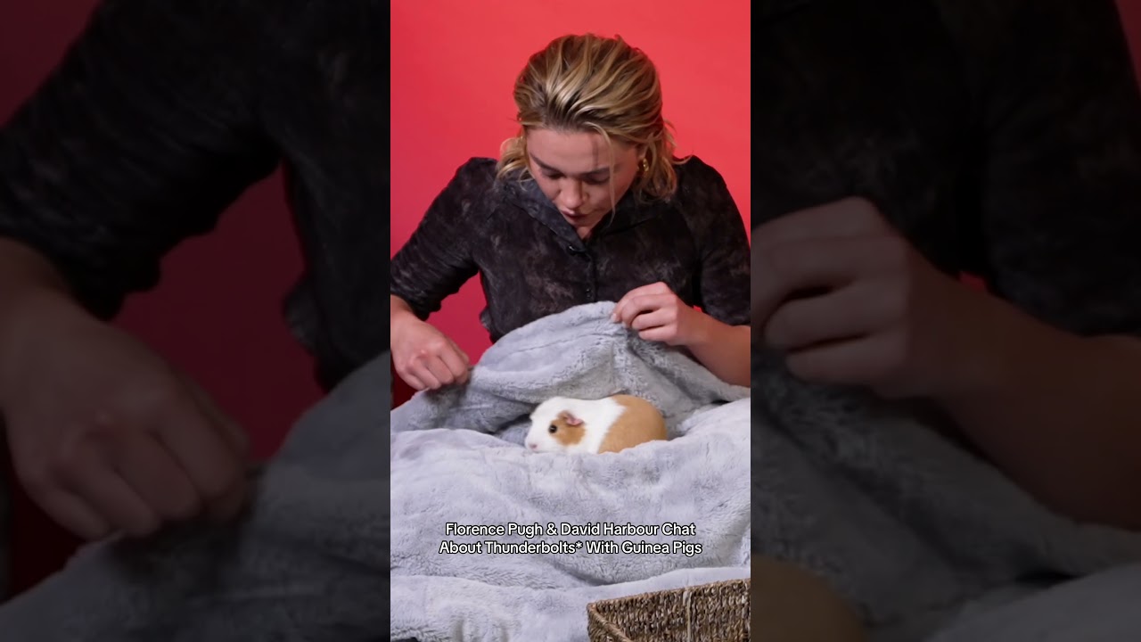 Florence Pugh & David Harbour Share Sweet Moments About Thunderbolts 🐹