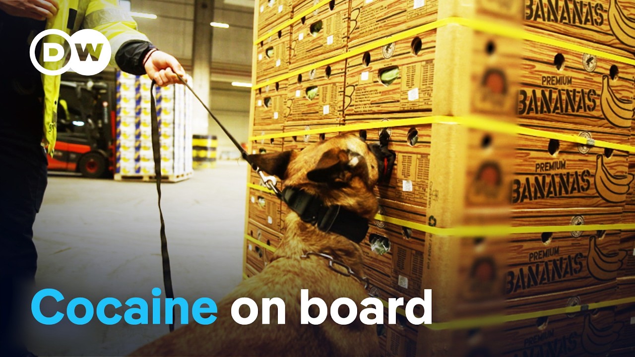 European Ports Under Mafia Threat 🚢