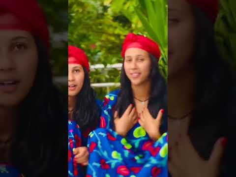 Bilillee New Oromo Music #oromo #oromomusic #ethiopia #ebs #tiktok #andualem_gosa #shorts