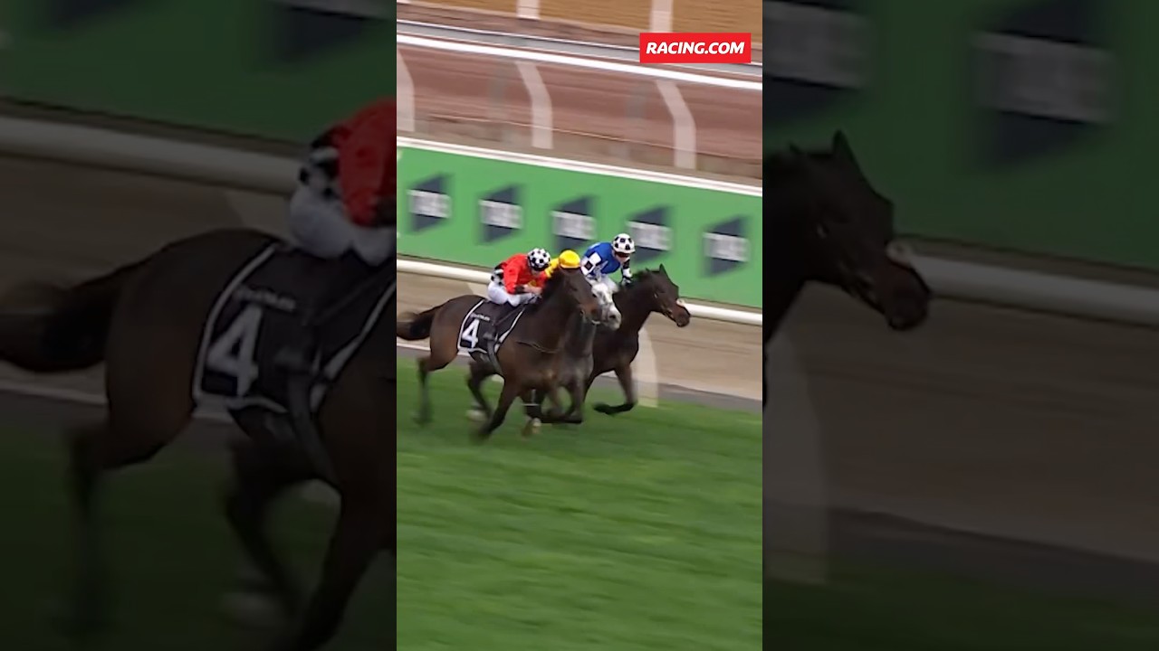 Revelare Secures Golden Ticket to Melbourne Cup 🏆