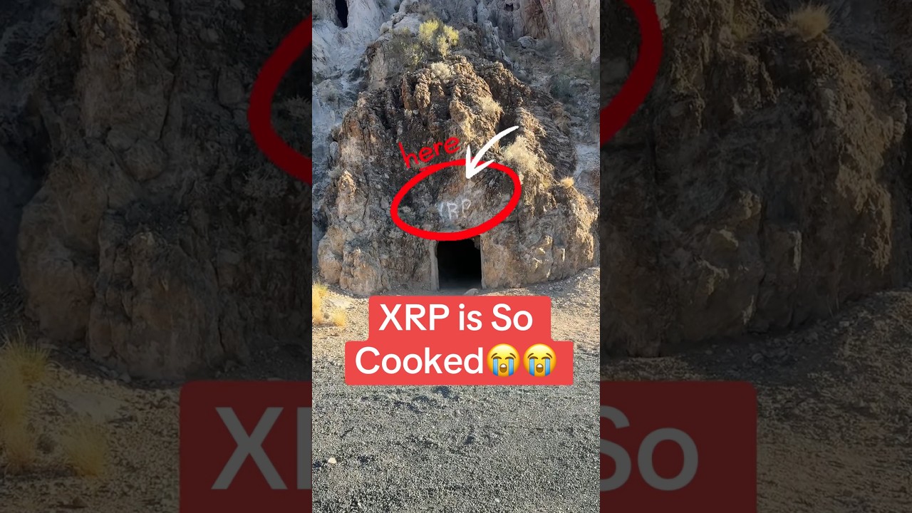 XRP Crash Alert! What You Need to Know 🚨