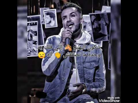 Blingos 100 Alf Collection ✨