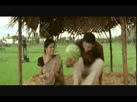 Chikku Bukku Adikkuthae Mazha Remix 🎶