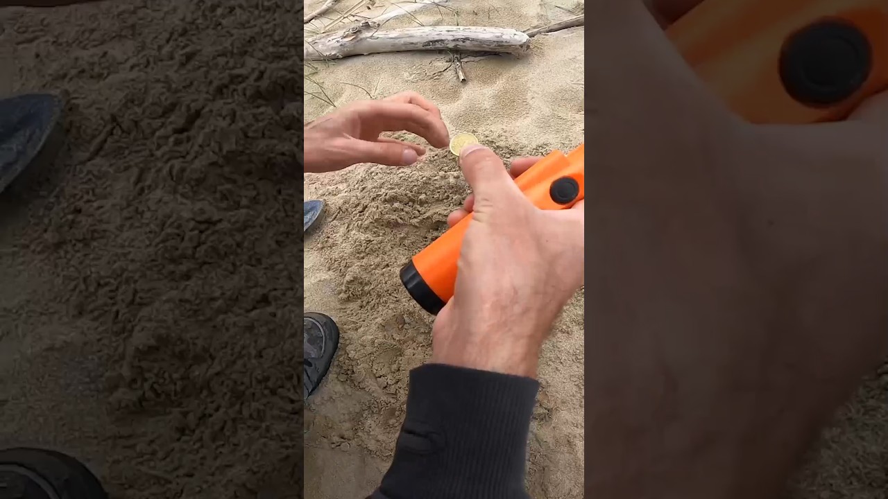 Ricerca in spiaggia con metal detector 🏖️