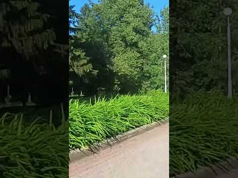 Как примириться после ссоры? Истории и места для примирения 🕊️