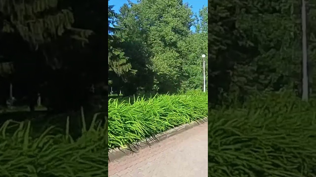 Как примириться после ссоры? Истории и места для примирения 🕊️