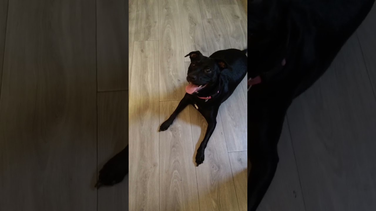 Event Scheduled for July 17, 2025