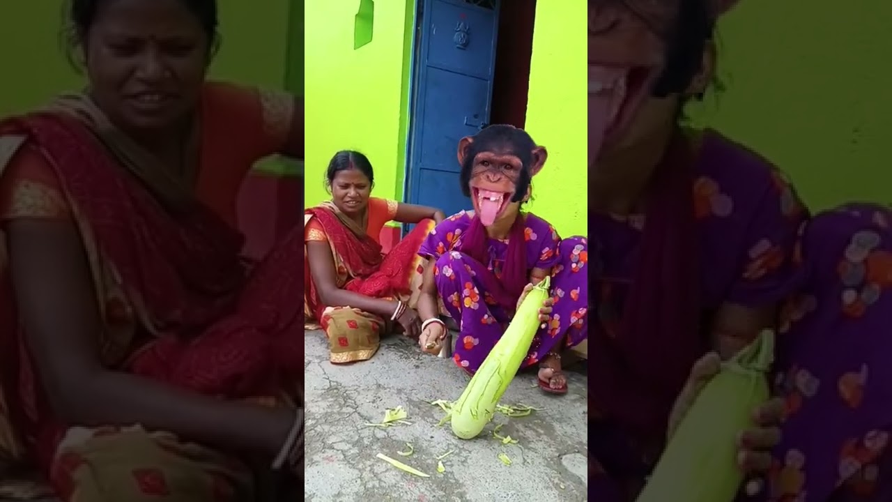 apna har din aise jiyo golmaal 3 | #youtubeshorts #viralshorts #funny ๐ฅ๐ฅ๐ฅ๐ฅ๐ฅ๐ฟ๐ฟ๐ฟ