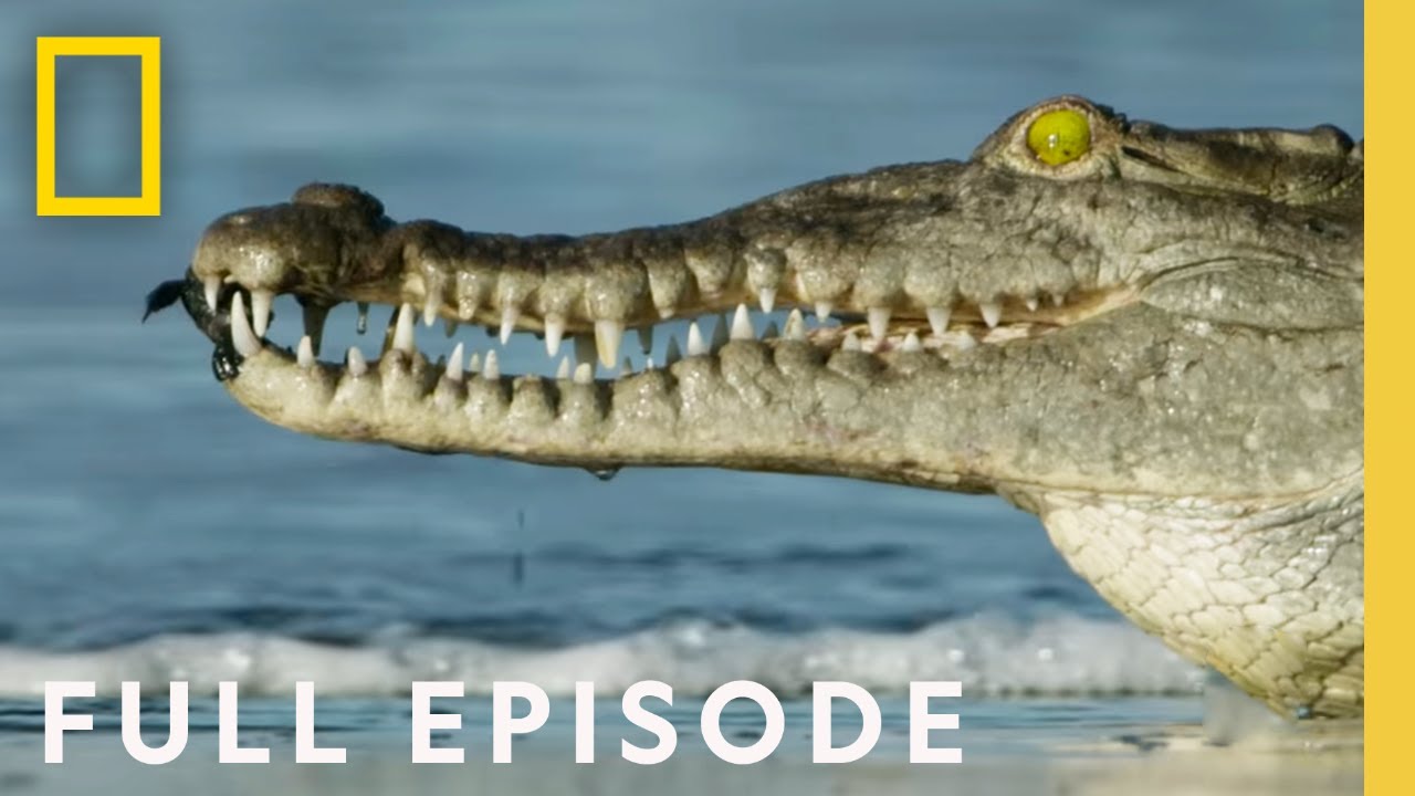 Oceans Uncovered 🌊 | Hostile Planet Full Episode
