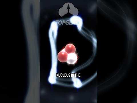 Schrodinger's Cat w/  Brian Cox  #superposition #schrodinger #space