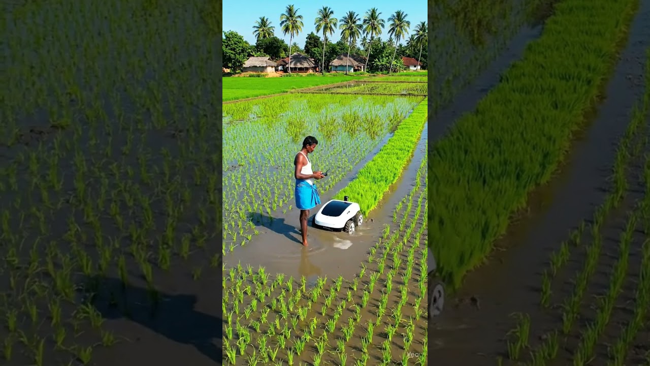 Drone View of Smart Farming Robot in Indian Paddy Fields π