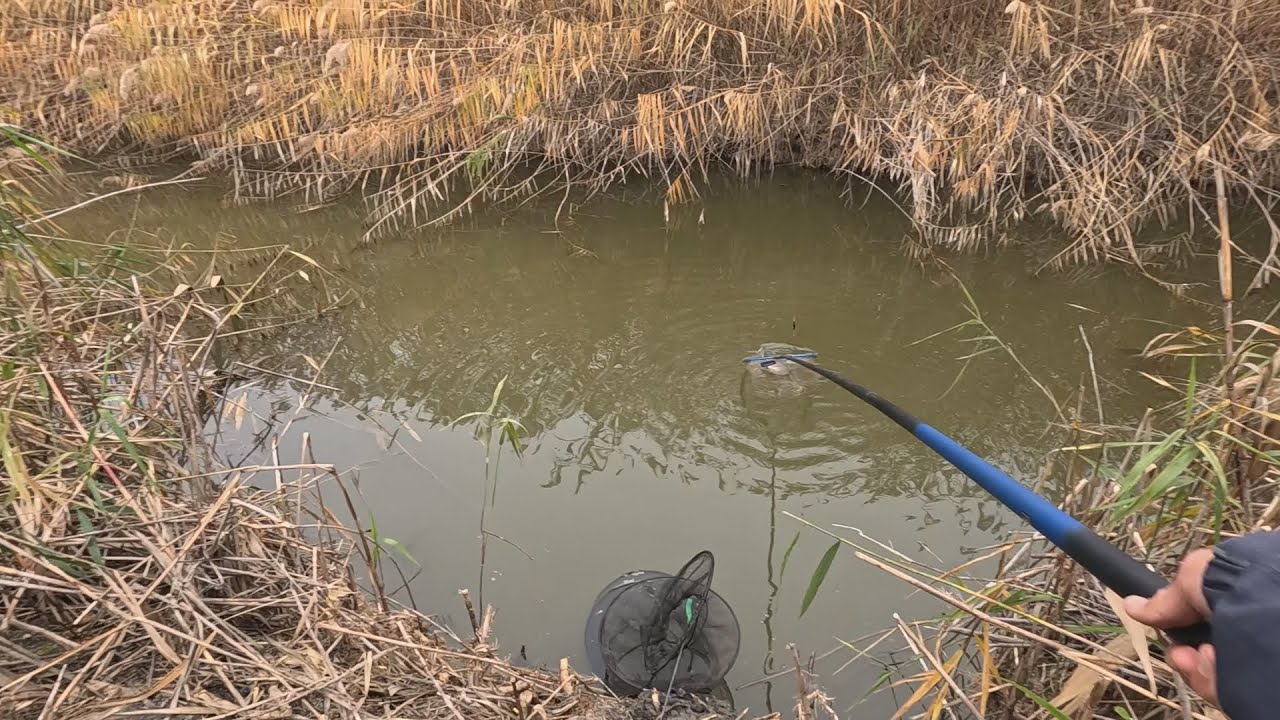 Рыбалка на карася в заросшем канале 🎣