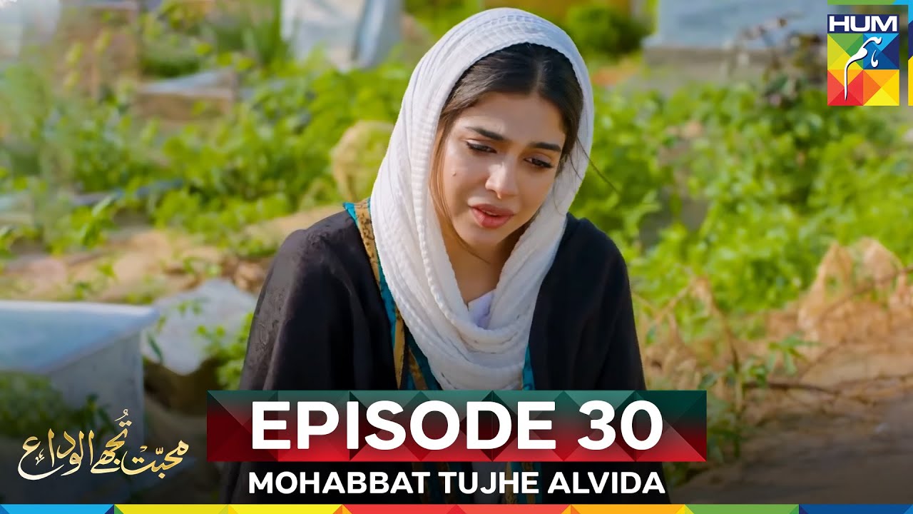 Mohabbat Tujhe Alvida Episode 30 โ Watch Full Episode Online ๐ฌ