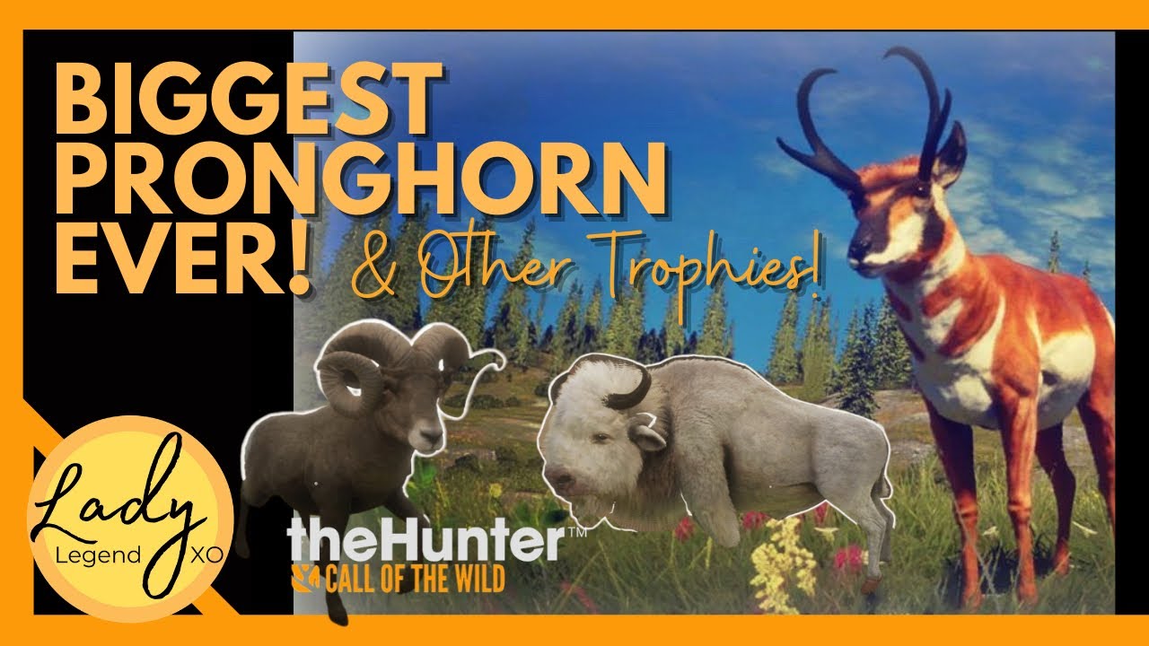 Huge Pronghorn & More Trophies! | Hunter: Call of the Wild 🦌