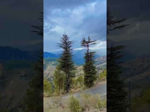 pahada de vich dur kithe #parindey# trending shorts⛰️🦚🕊️ 😍😍