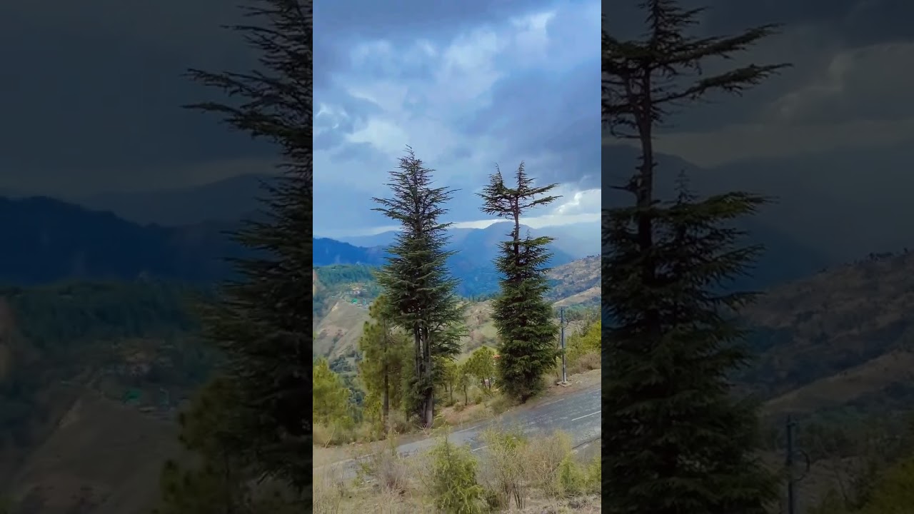 Pahada De Vich Dur Kithe #Parindey# Trending Shorts