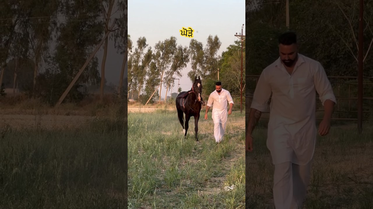 Bloodline by KS Makhān | Punjabi Song 2025 🎶