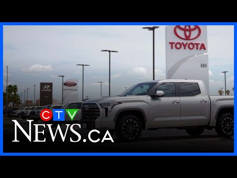 Canada may need to prepare 'exiting auto industry': Business analyst