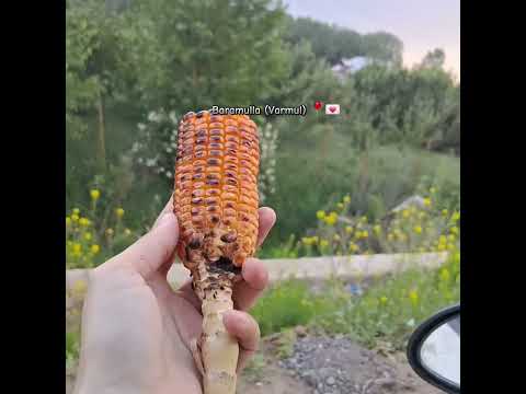 Baramulla The Town Of Mountains