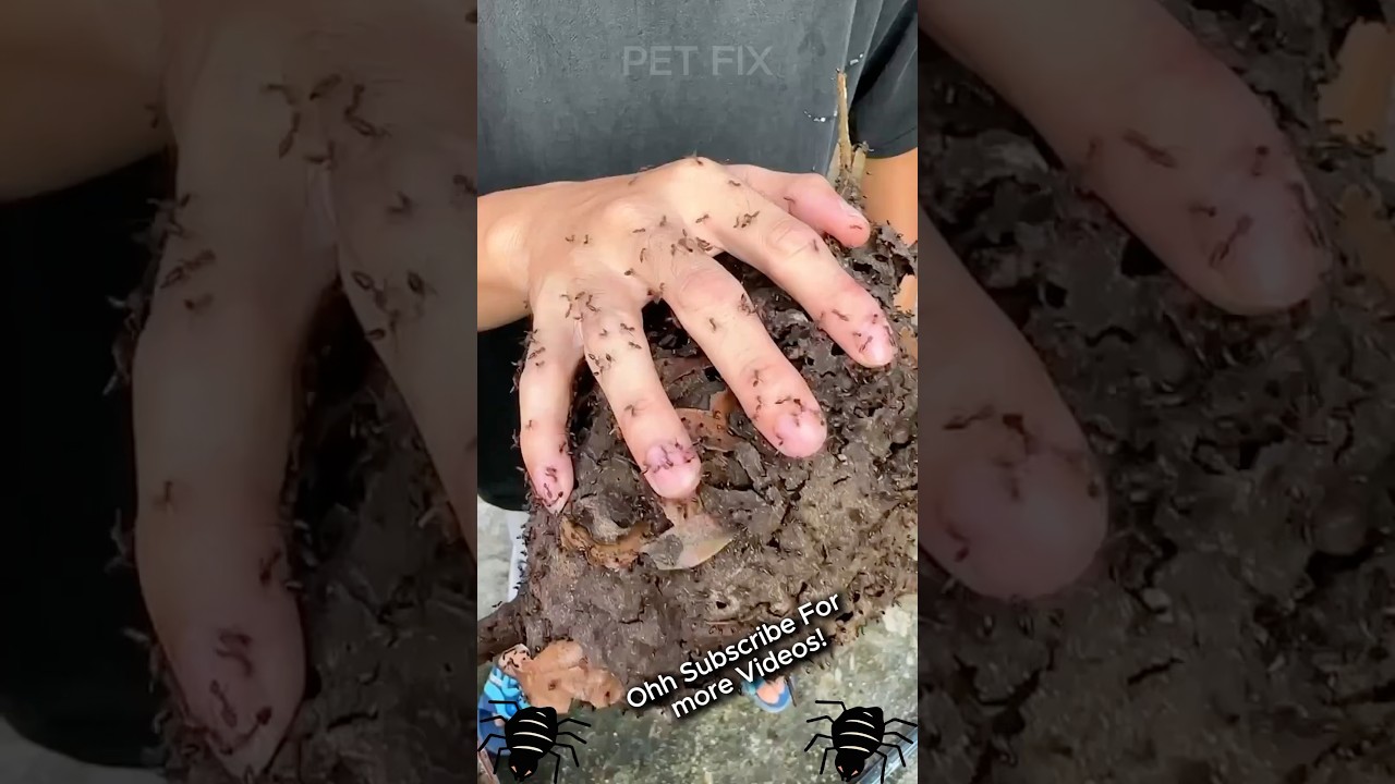 Animals Growing Up: Amazing Before & After πΎ