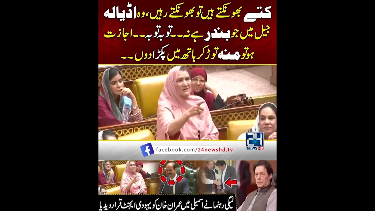 PML-N Leader's Speech on Imran Khan | 24 News HD