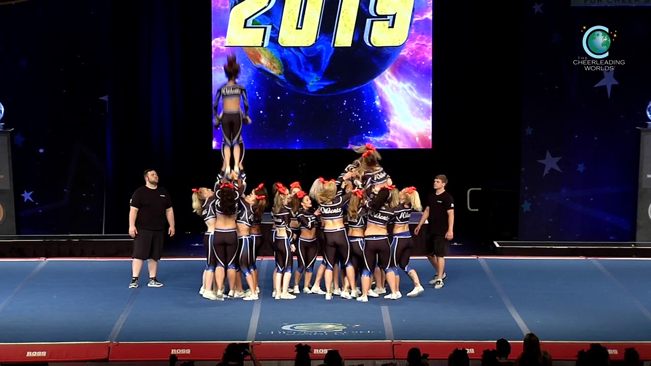 MTV Braunschweig Wildcats vs FORCE Finals 🏆