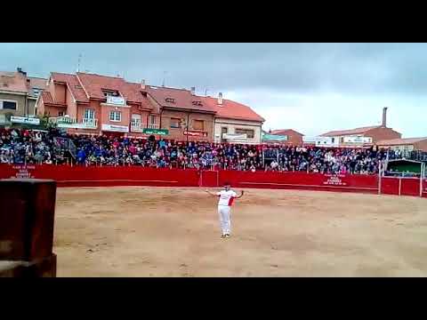 Recuperación Exitosa de Grave Cogida en Soria 🩺
