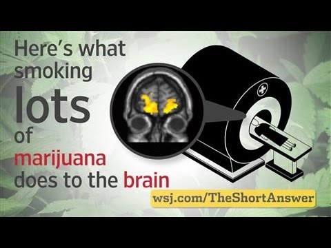 Heavy Marijuana Use May Harm Brain Health 🧠