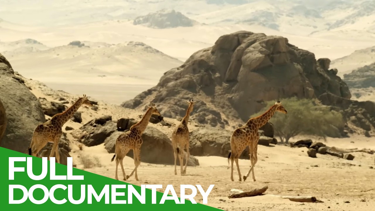 Wildlife at the Limits: Surviving in Wet and Dry Environments 🌍