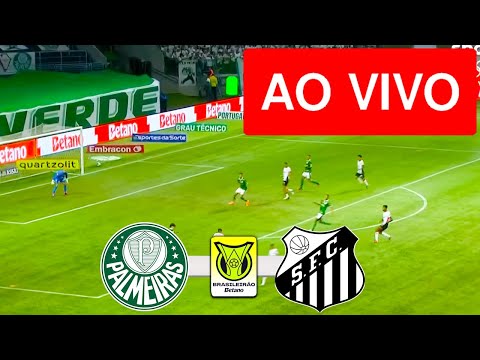 PALMEIRAS X SANTOS AO VIVO COM IMAGENS - CAMPEONATO BRASILEIRO 2025 - ASSISTA AGORA!