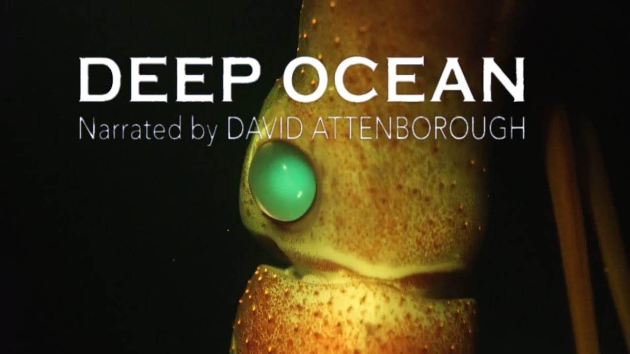 David Attenborough Explores Monterey Bay's Deep Ocean 🌊