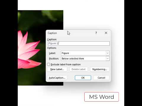 MS Word Inserting Image Captions