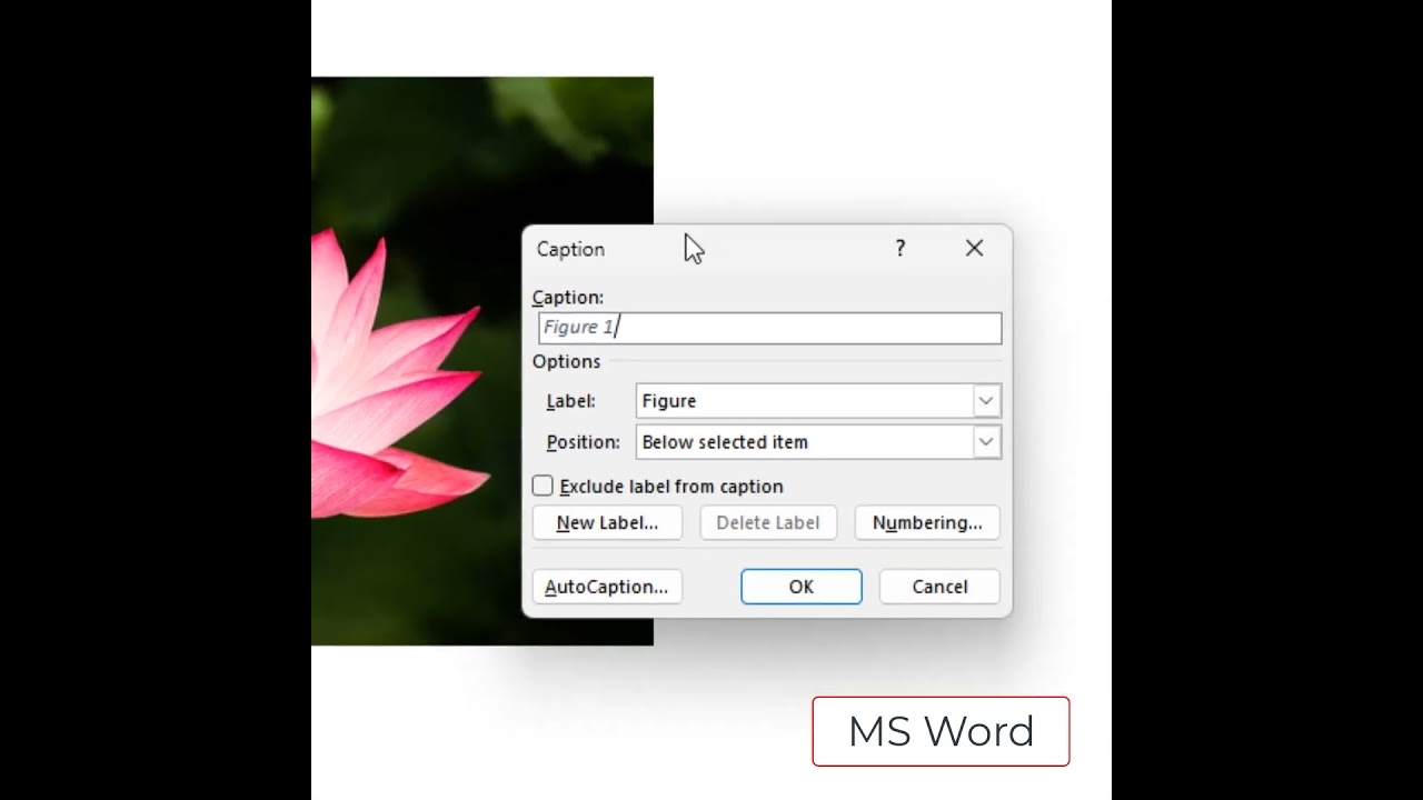 Mastering Image Captions in MS Word: A Step-by-Step Guide 📝