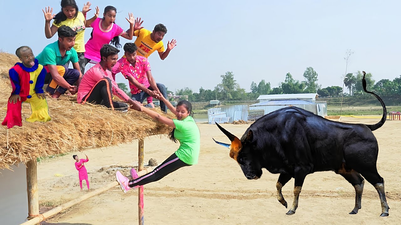 😂 Hilarious New Comedy Video 2024 | Must-Watch Funny Moments Episode 32 & 191