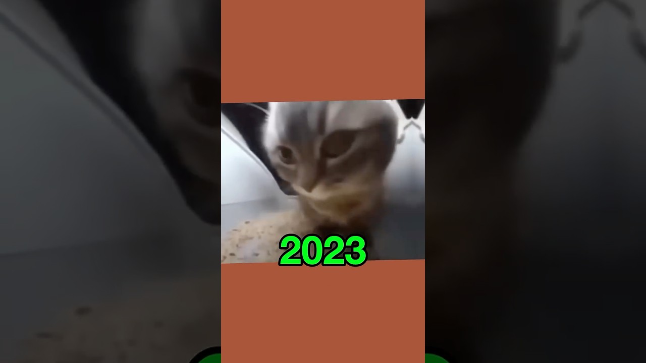 Legendary Memes from 2015-2025: Then & Now 🎉