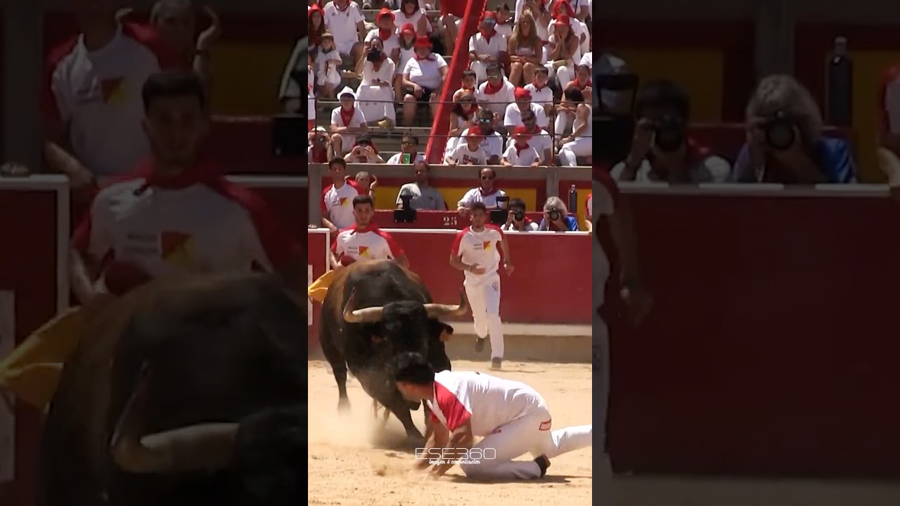 SAN FERMÍN 🏆 RECORTADORES  #2023 #torosbravos #recortes #españa #pamplona #sanfermin #viral  #toros