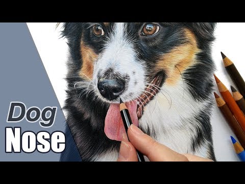 Colored pencil tutorial | How to draw a dog nose!