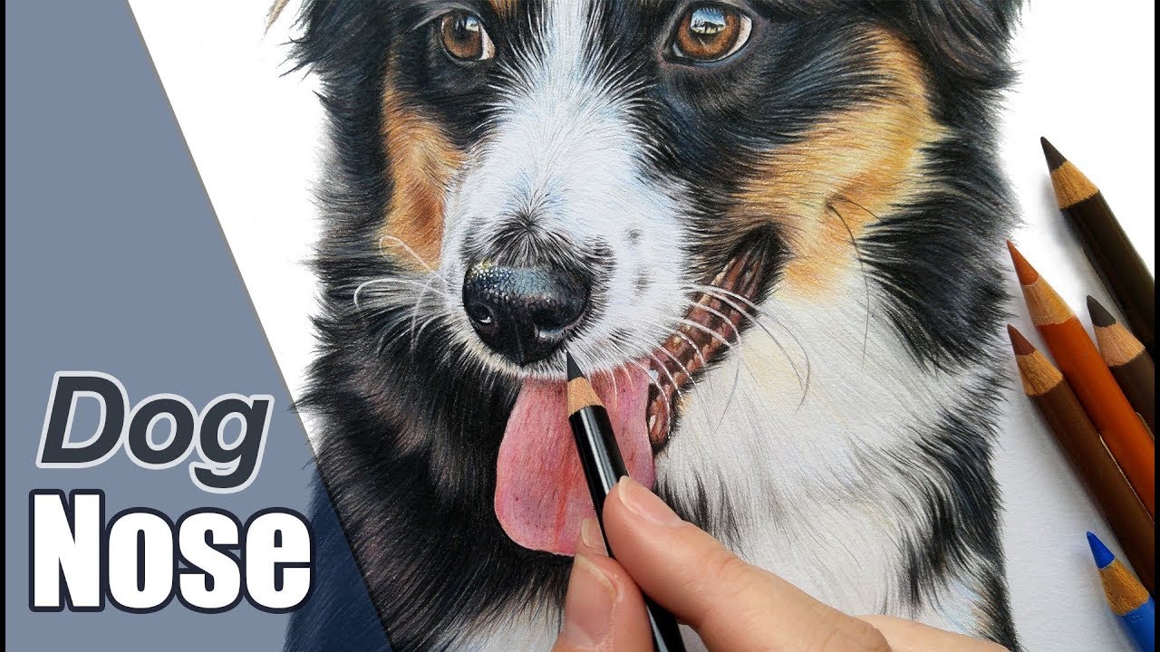 Colored Pencil Tutorial: How to Draw a Dog Nose