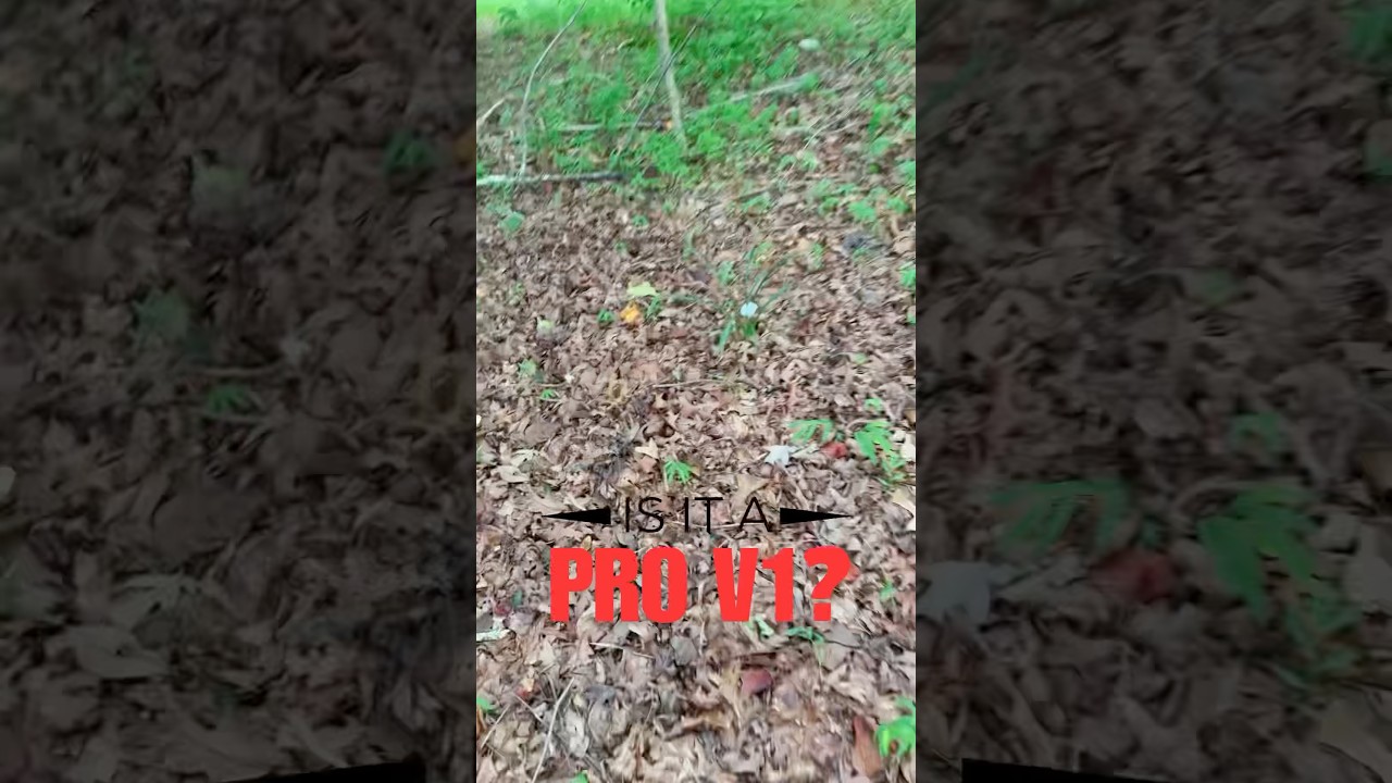 Is it a Pro V1 in the woods? #golf #golfer #golfing #golflife #golfball #golfshorts