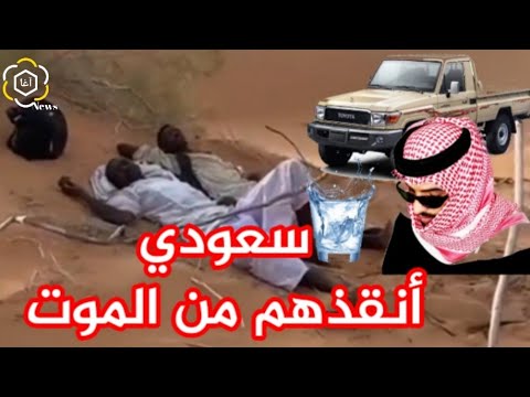  اغا نيوز 