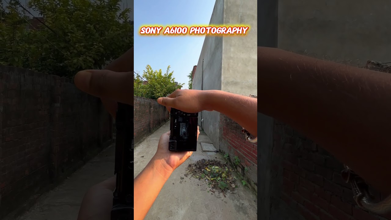 Sony A6100 & 55-210mm Lens Photography ๐ธ