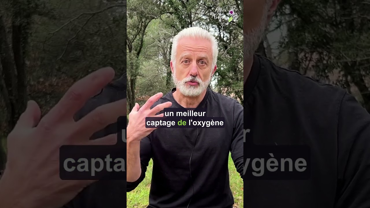 Synergie entre Ginkgo Biloba et Bacopa Monnieri 🌿