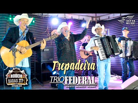 Trepadeira - TRIO FEDERAL