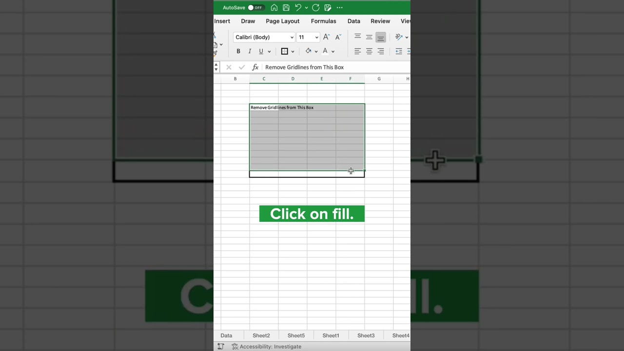 Remove Gridlines from Specific Data in Excel π§©