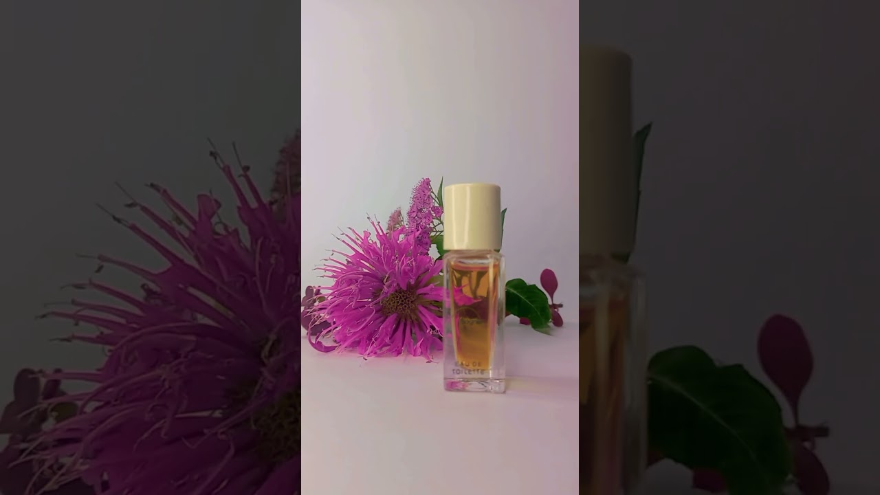 Парфюм Sonia Bogner Винтаж — Элегантность и Свежесть