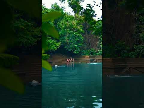 Kerala Life #viral #trendingshorts #pond #monsoon