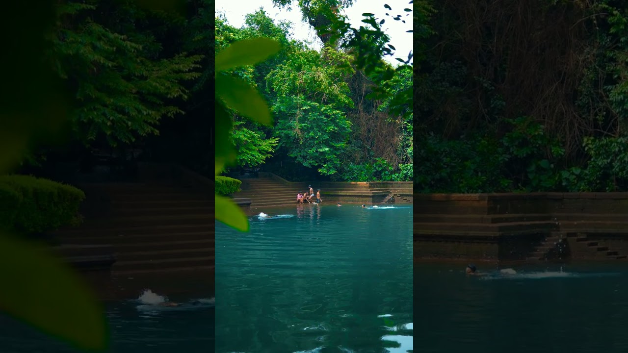 Kerala Life: Pond Scene During Monsoon Goes Viral